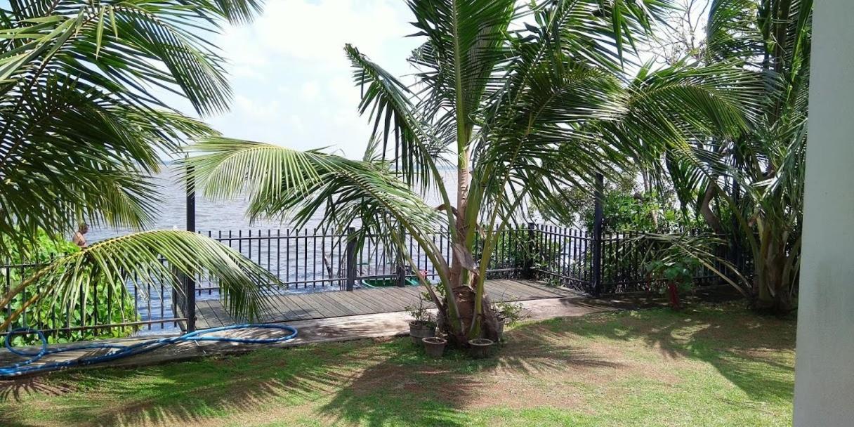 Negombo Holiday Home エクステリア 写真